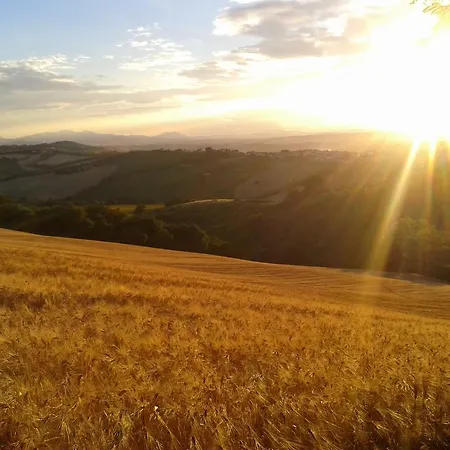 La Collina Dorata Frühstückspension Offagna